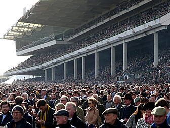 HRI chief says Cheltenham shou...